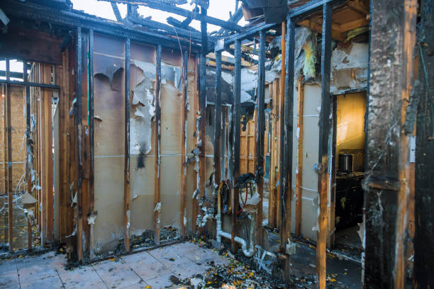 Professional Fire Damage Assessment technician working in Annandale, VA